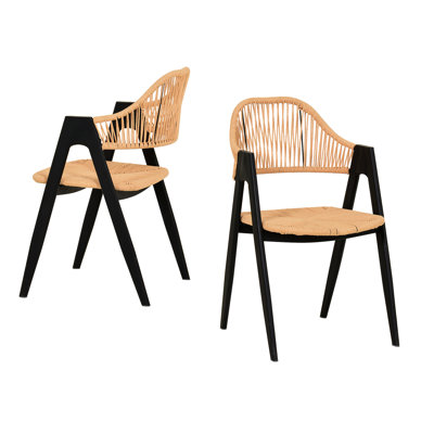 Joss & Main Meridian - Modern Rattan Dining Chair Set Of 2 | Wayfair